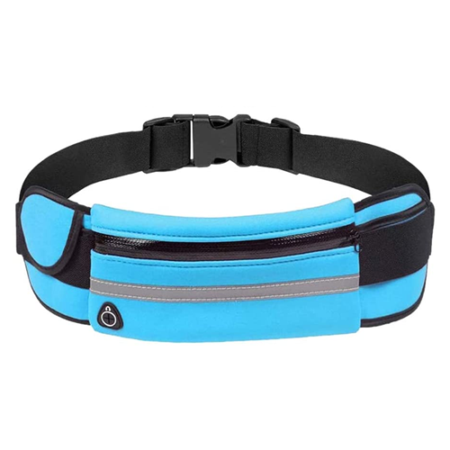 Passport Money Guard Waistband Bag Blue